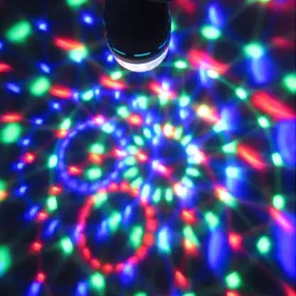 7956